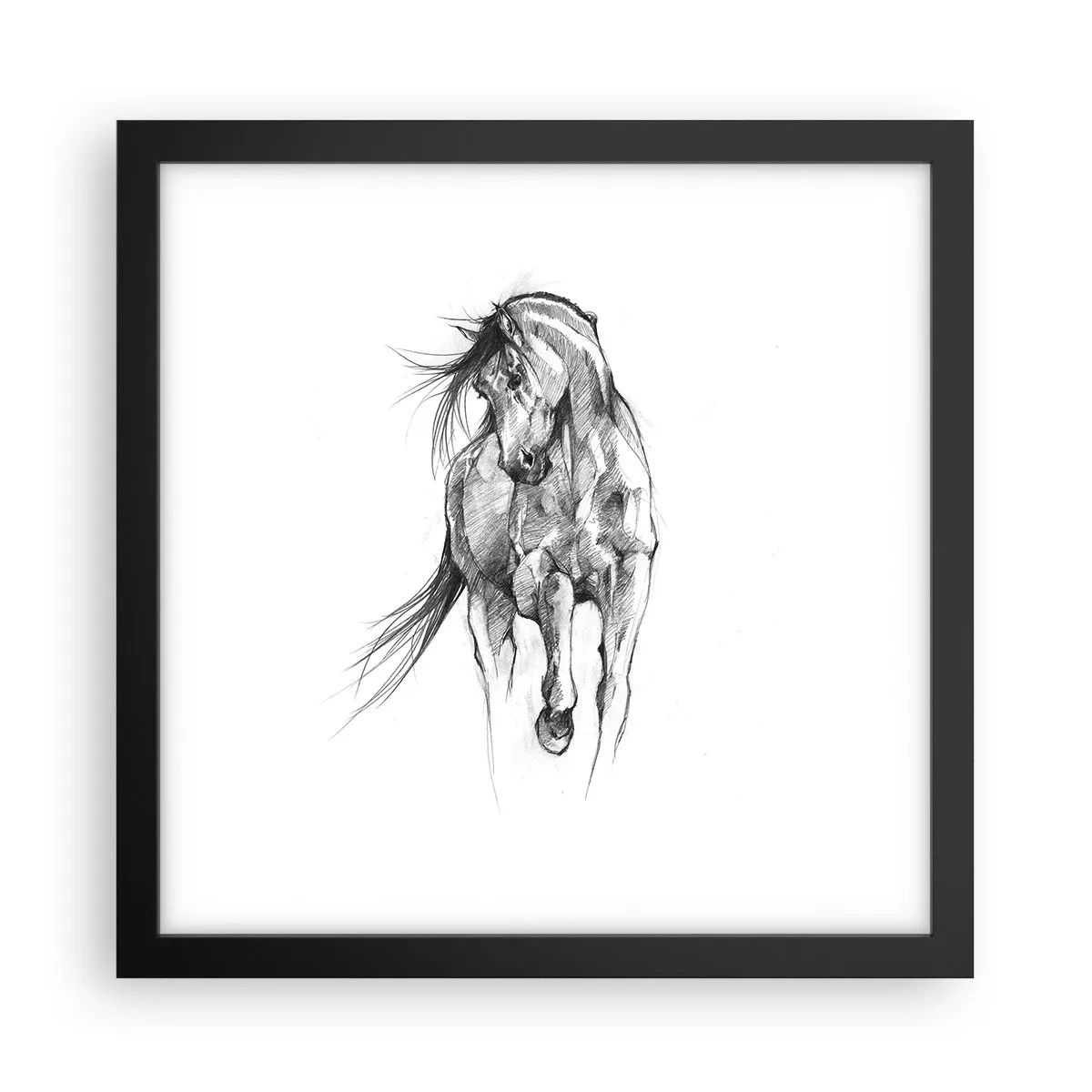 Poster in cornice nera - Trotto aggraziato - 30x30 cm