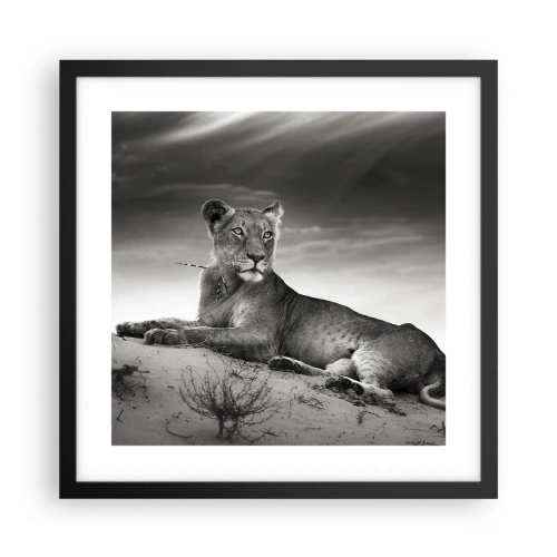 Poster in cornice nera - Il riposo della regina del deserto - 40x40 cm