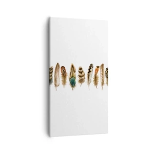 Quadro su tela - Stampe su Tela - Composizione di piume - 55x100 cm