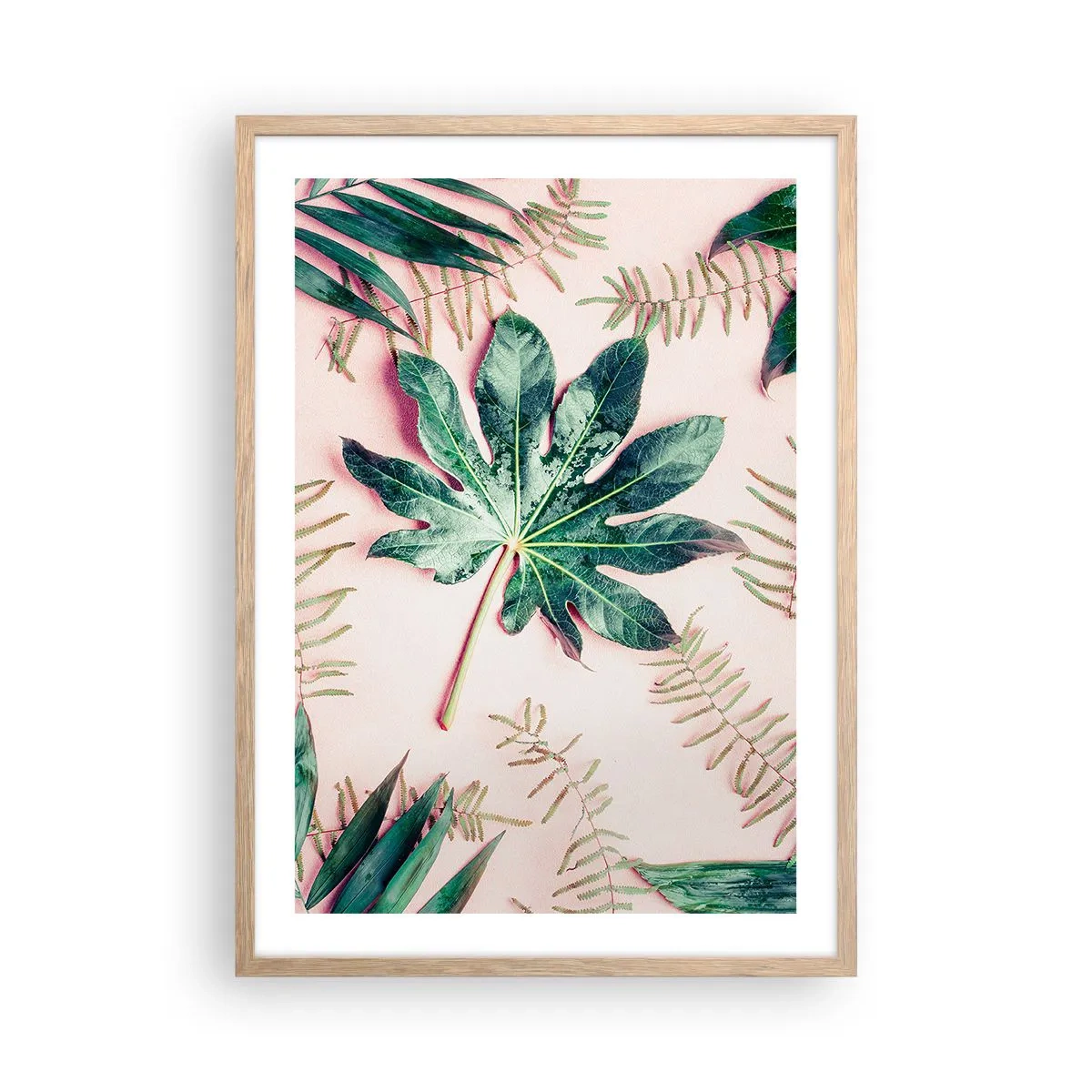 Poster in cornice rovere chiaro - Studio di verde su sfondo rosa - 50x70 cm