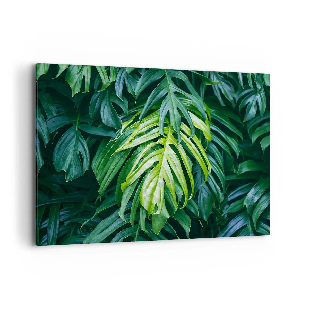 Quadro su tela - Stampe su Tela - Foglie verdi in una fitta disposizione tropicale - 100x70cm - Immergersi nella freschezza - Decorazione murale moderna per soggiorno e camera da letto ARTTOR