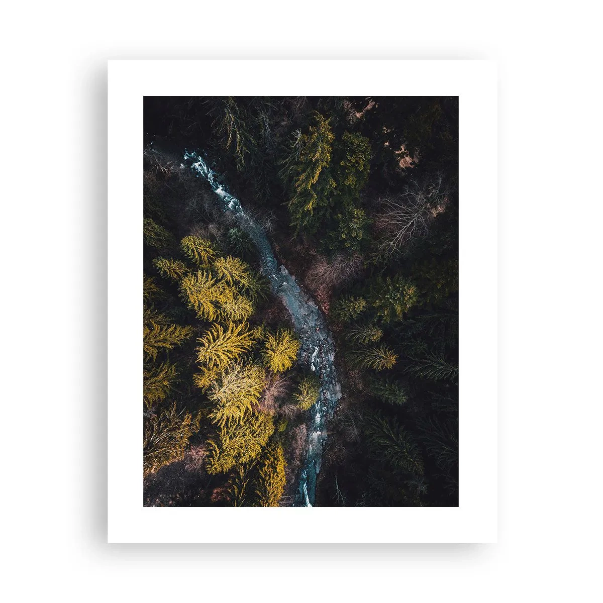 Poster - Sempre più veloce - 40x50 cm