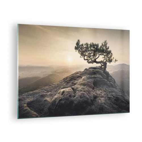 Quadro su vetro - Un albero su una roccia alla luce del sole nascente - 70x50cm - La vita vince sempre - Decorazione murale moderna per soggiorno e camera da letto ARTTOR