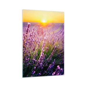 Quadro su vetro - Campo di lavanda al tramonto - 70x100cm - Campo profumato - Decorazione murale moderna per soggiorno e camera da letto ARTTOR