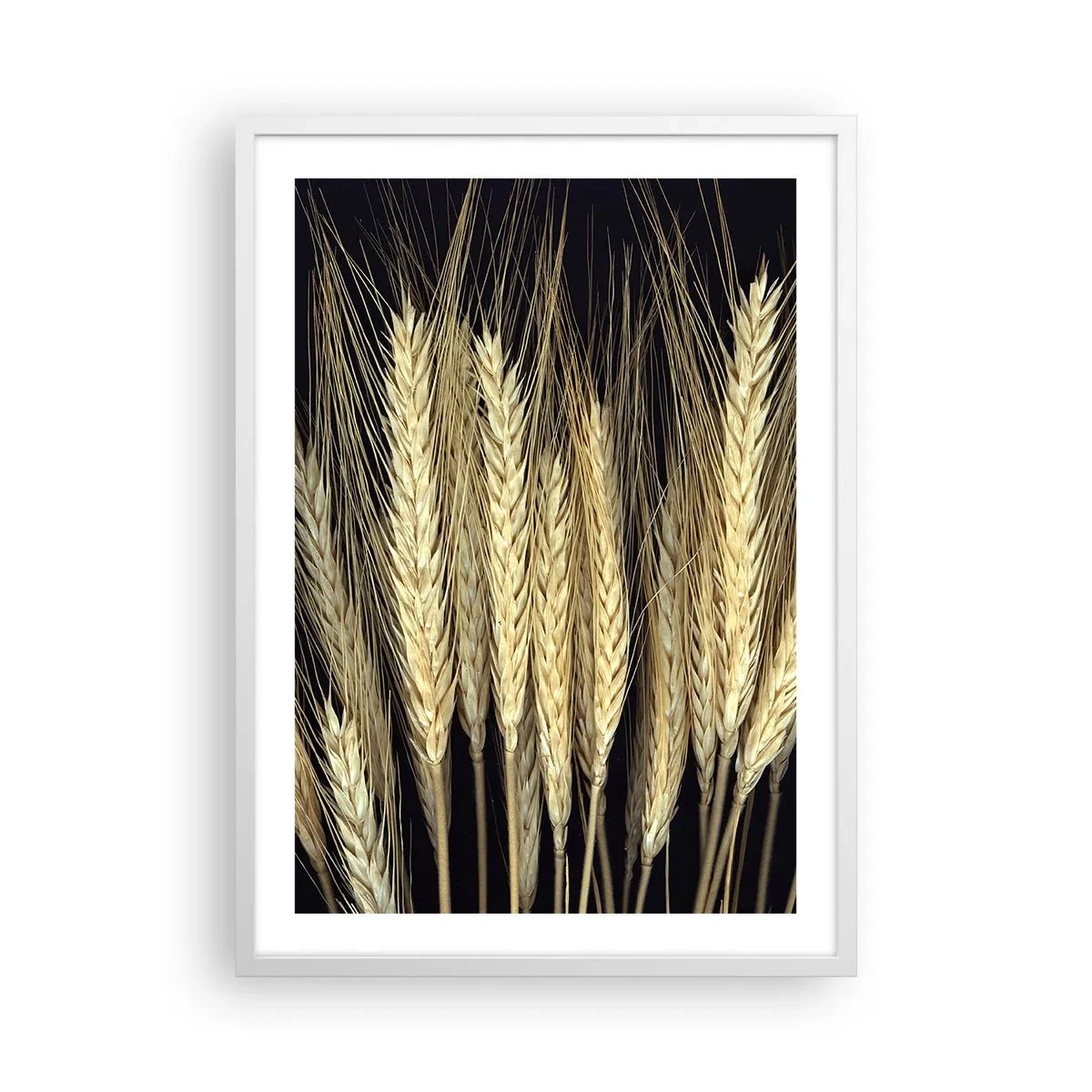 Poster in cornice bianca - Magia rustica - 50x70 cm