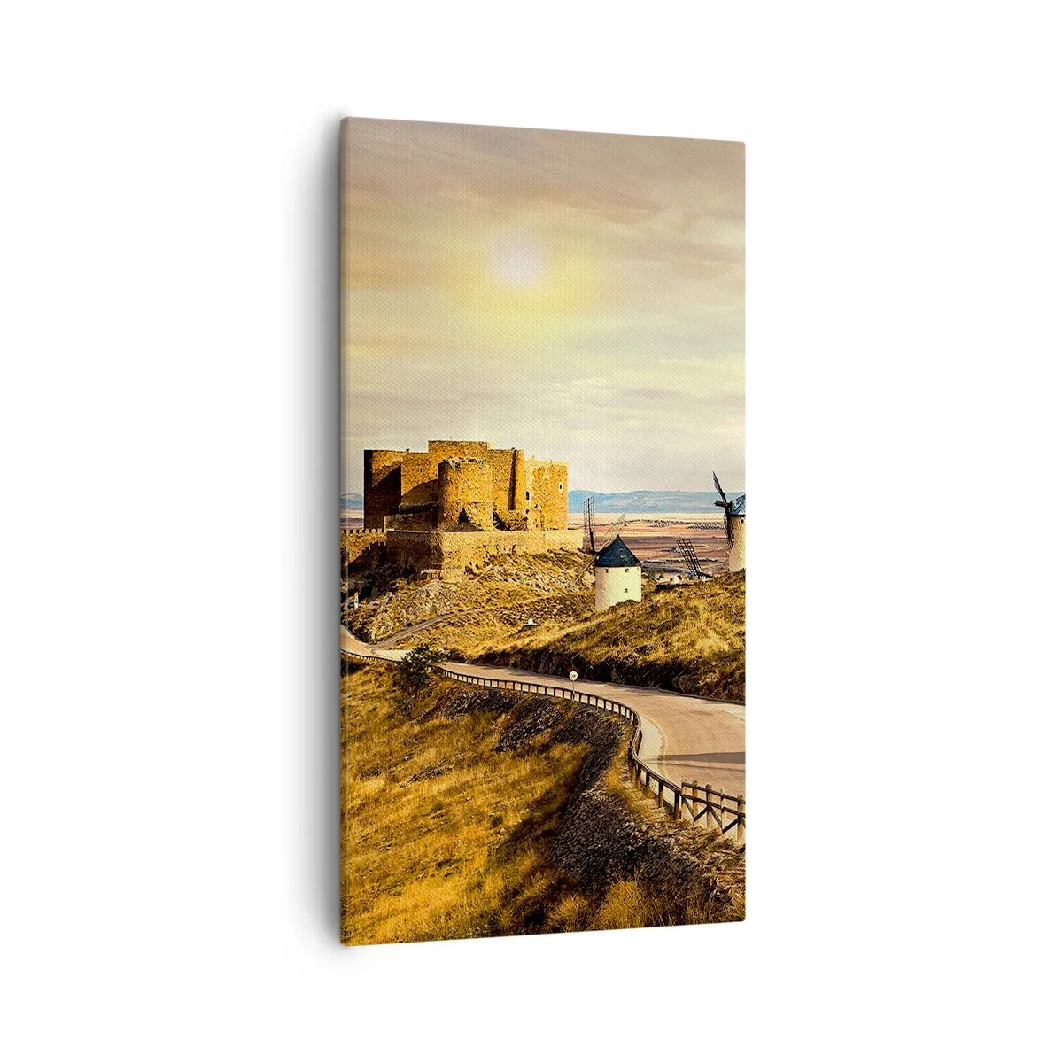 Quadro su tela - Stampe su Tela - Adesso appare Don Chisciotte - 55x100 cm