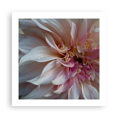 Poster - Freschezza in fiore - 50x50 cm