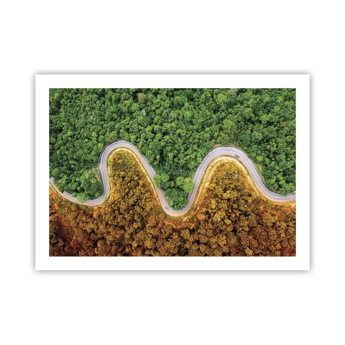 Poster - Confine e separazione - 70x50 cm