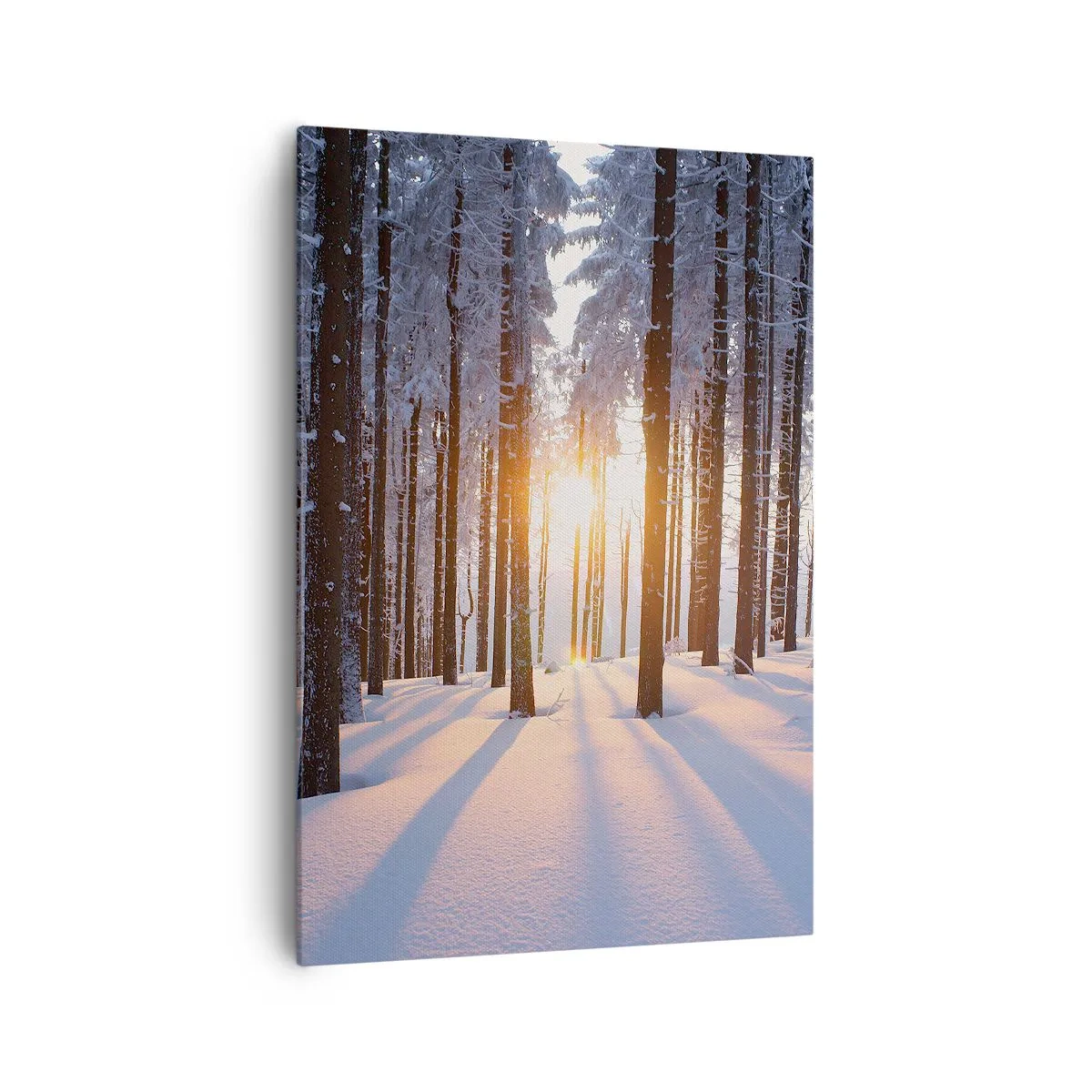 Quadro su tela - Stampe su Tela - Foresta invernale illuminata dai raggi del sole - 70x100cm - Decisamente nero su bianco - Decorazione murale moderna per soggiorno e camera da letto ARTTOR