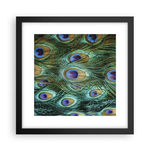 Poster in cornice nera - Lo sguardo del pavone - 30x30 cm