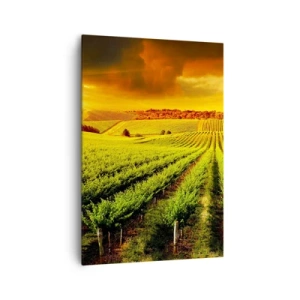 Quadro su tela - Stampe su Tela - Vigneti dorati illuminati dai raggi del sole - 70x100cm - Sotto il sole dell'Australia - Decorazione murale moderna per soggiorno e camera da letto ARTTOR