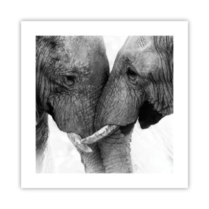 Poster - Dichiarazione sincera - 40x40 cm