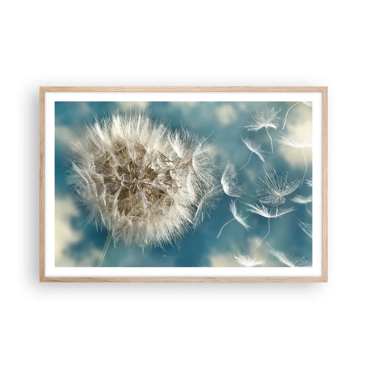 Poster in cornice rovere chiaro - Il respiro dell'angelo - 91x61 cm