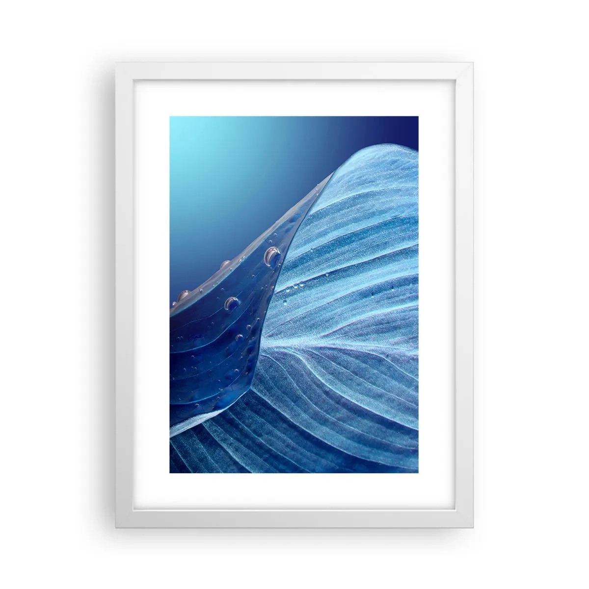 Poster in cornice bianca - Gocce di blu nascoste - 30x40 cm