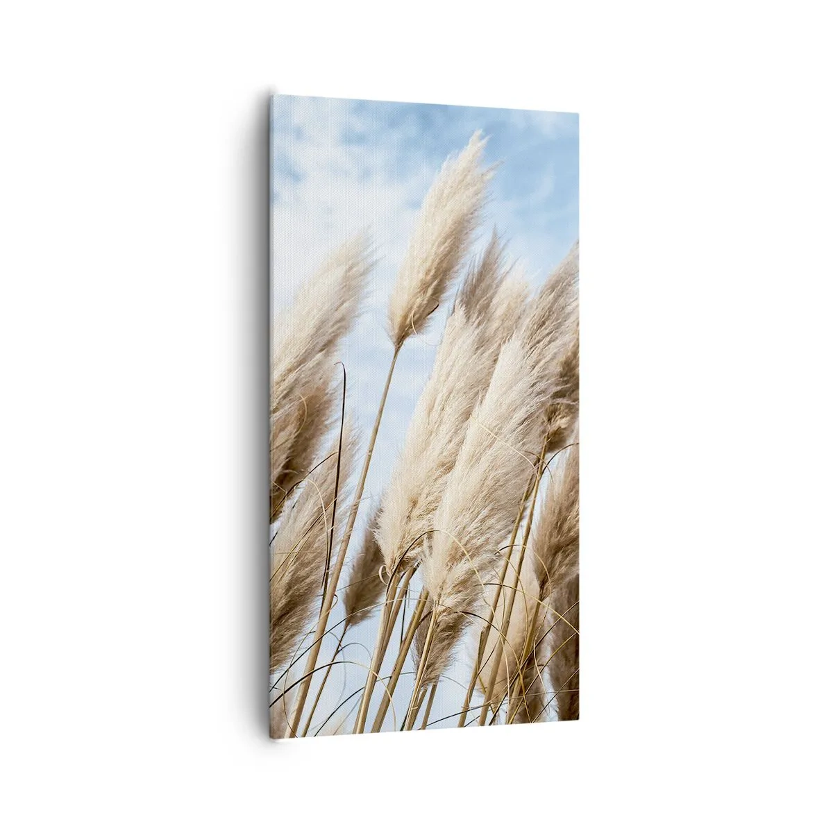 Quadro su tela - Stampe su Tela - Le carezze del sole e del vento - 65x120 cm