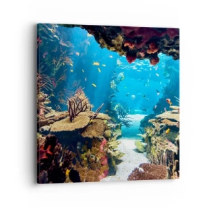 Quadro su tela - Stampe su Tela - Non lo avresti neanche sognato - 40x40 cm