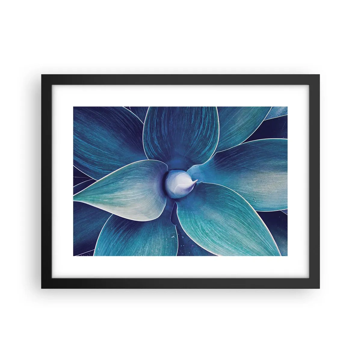 Poster in cornice nera - Imbluito dal sole - 40x30 cm