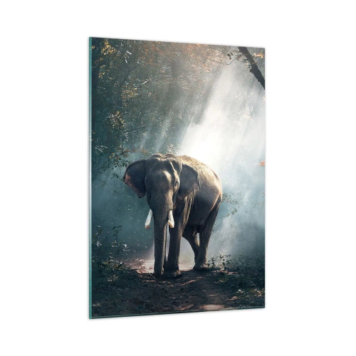 Quadro su vetro - Un elefante che cammina nella foresta mentre la luce del sole filtra tra gli alberi. - 50x70cm - Tranquilla passeggiata - Decorazione murale moderna per soggiorno e camera da letto ARTTOR