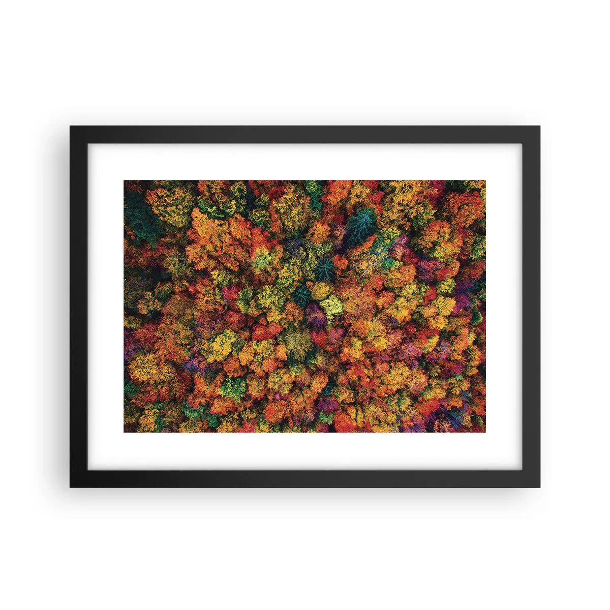 Poster in cornice nera - Il bouquet degli alberi d'autunno - 40x30 cm