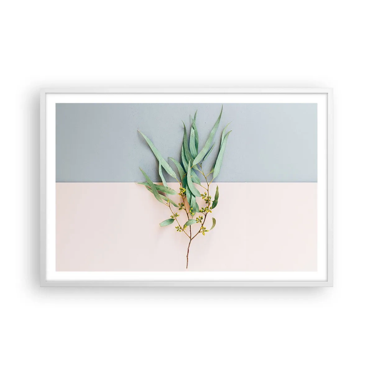 Poster in cornice bianca - Delicatezza pastello - 91x61 cm