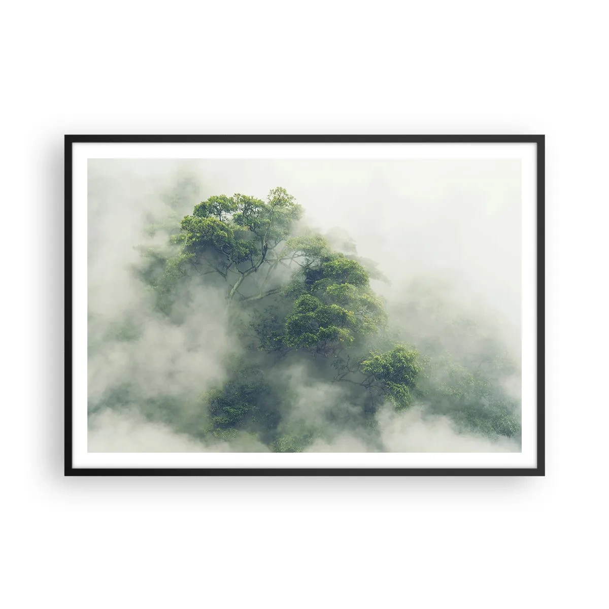 Poster in cornice nera - Alberi verdi nella fitta nebbia contro uno sfondo naturale - 100x70cm - Avvolti dalla nebbia - Decorazione murale moderna per soggiorno e camera da letto ARTTOR