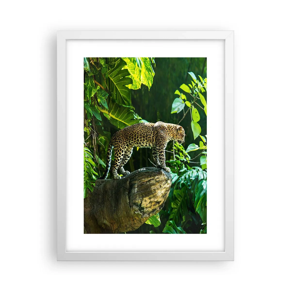 Poster in cornice bianca - A caccia? - 30x40 cm