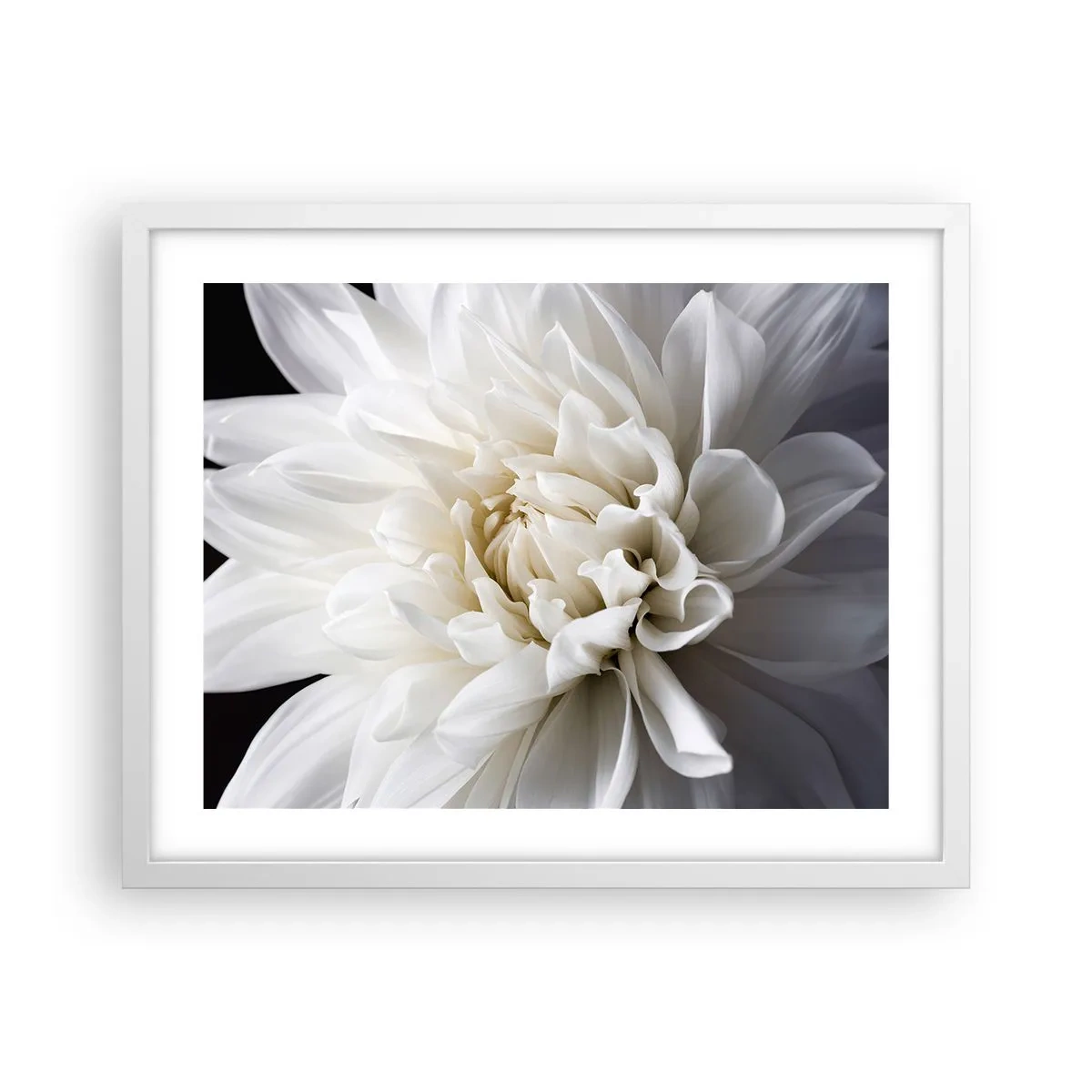 Poster in cornice bianca - Il mattino della sposa - 50x40 cm