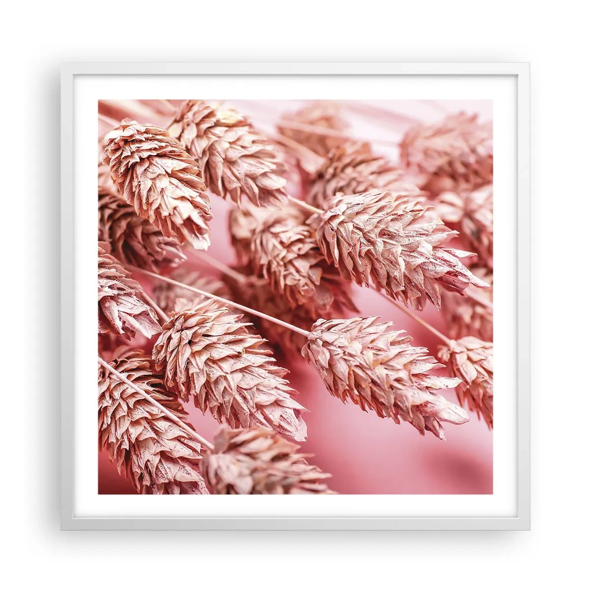 Poster in cornice bianca - Cascata di fiori in rosa - 60x60 cm