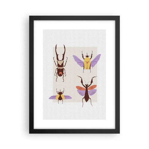 Poster in cornice nera - Il mondo degli insetti - 30x40 cm