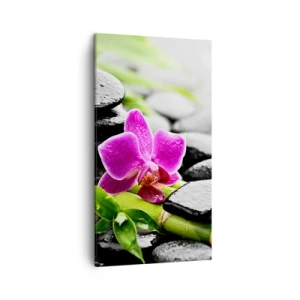 Quadro su tela - Stampe su Tela - Un tranquillo equilibrio - 45x80 cm