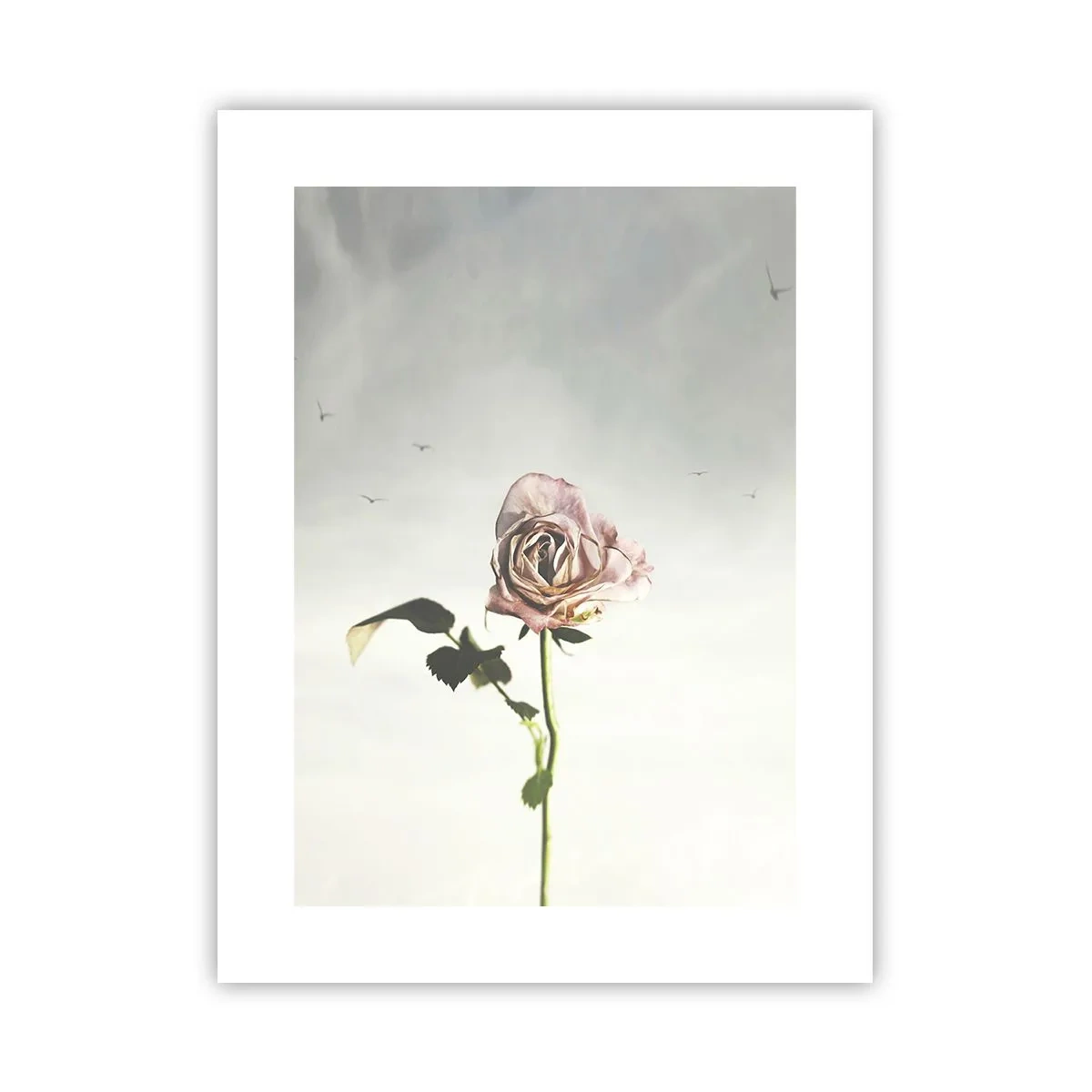 Poster - Il benvenuto alla primavera - 30x40 cm