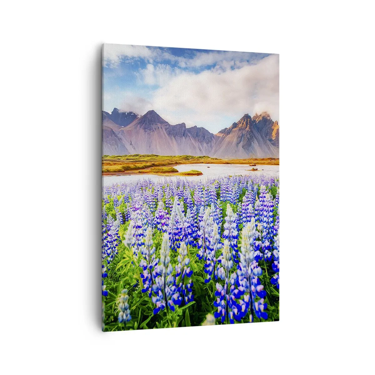 Quadro su tela - Stampe su Tela - Fiori in un paesaggio montano con un cielo pittoresco - 70x100cm - Forza e asprezza accanto alla mitezza - Decorazione murale moderna per soggiorno e camera da letto ARTTOR