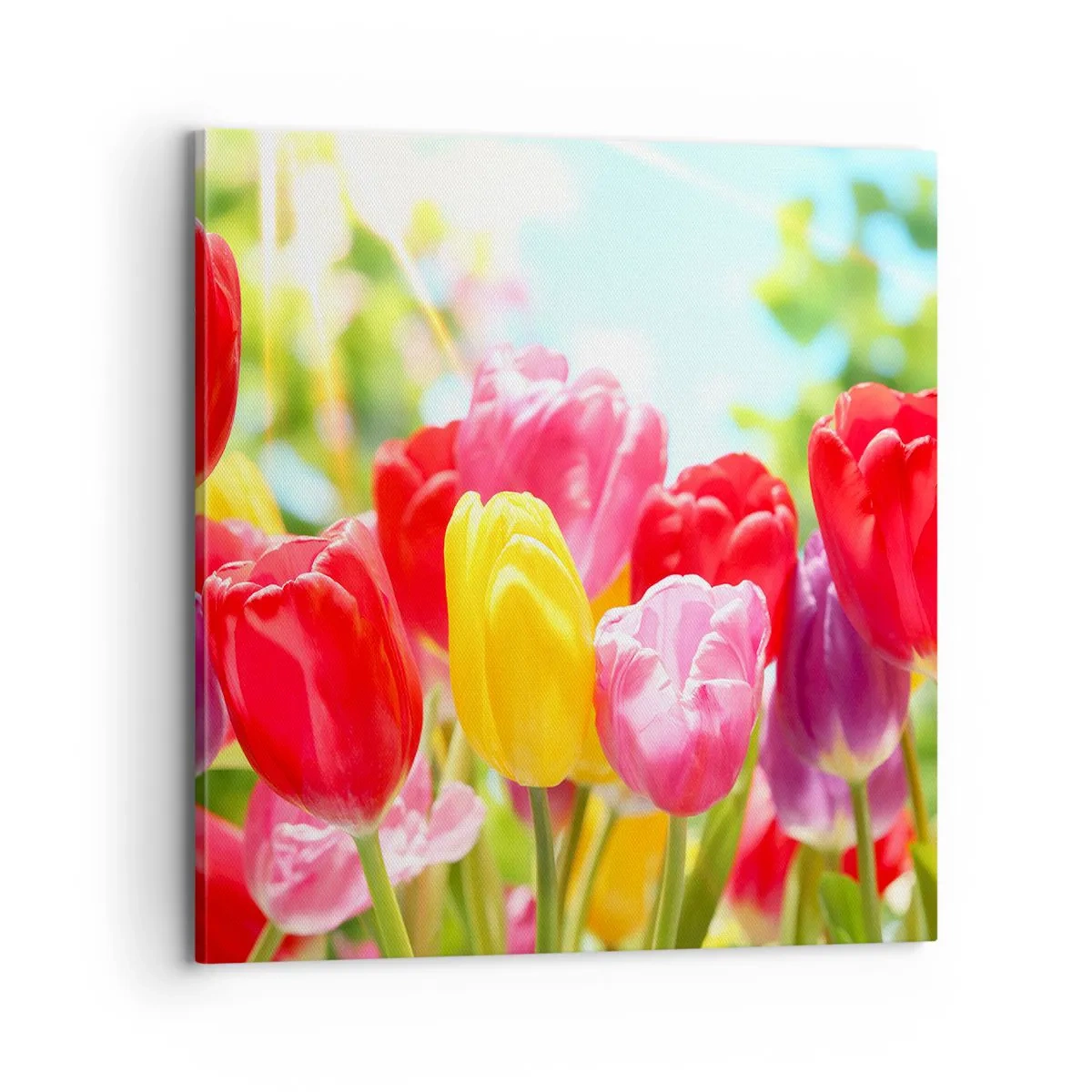 Quadro su tela - Stampe su Tela - Eccoci, i colori di maggio! - 70x70 cm