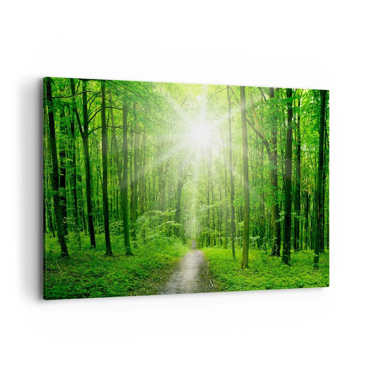 Quadro su tela - Stampe su Tela - Sentiero nel bosco con raggi di sole - 120x80cm - Cattedrale verde - Decorazione murale moderna per soggiorno e camera da letto ARTTOR