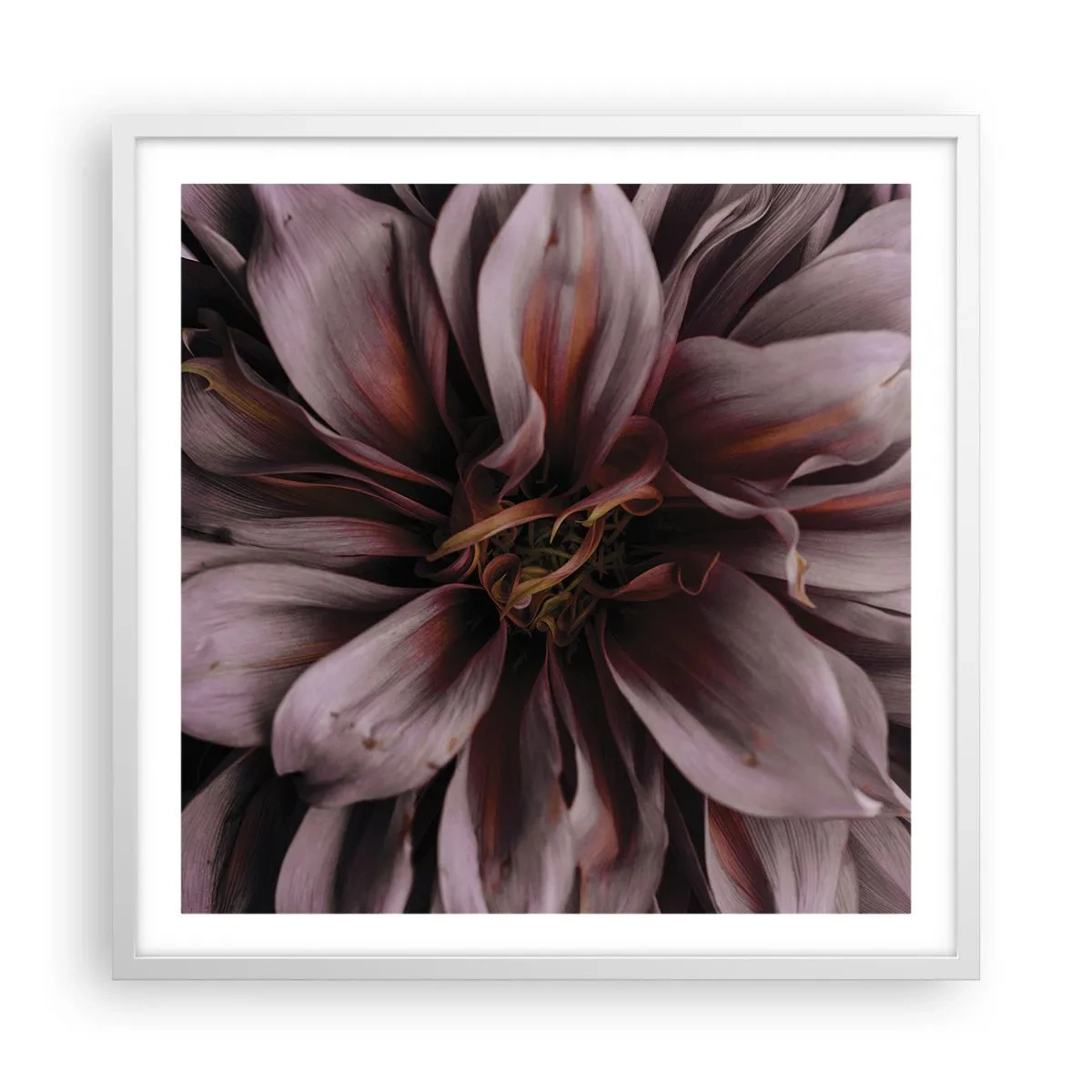 Poster in cornice bianca - Cuore d'aprile - 60x60 cm