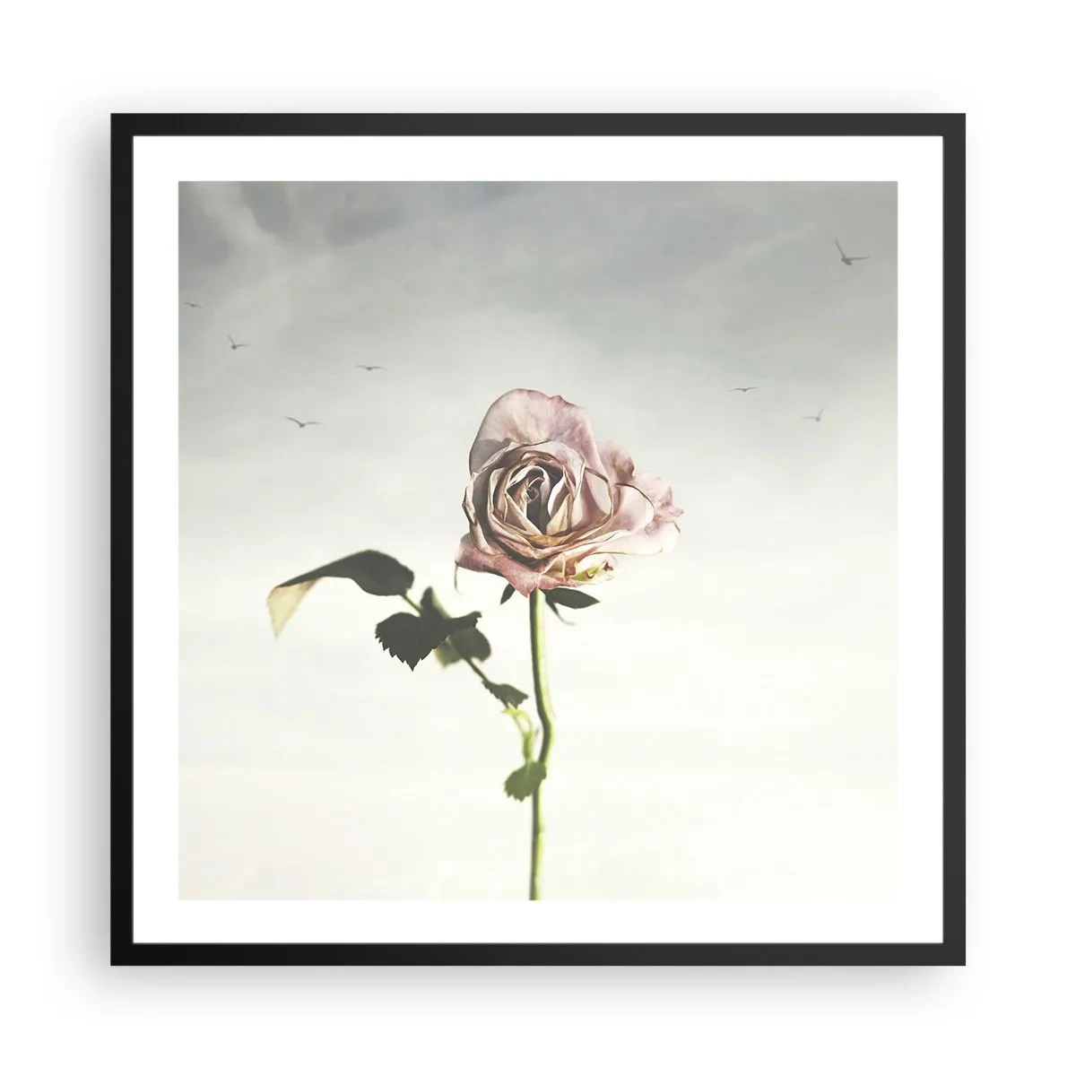 Poster in cornice nera - Il benvenuto alla primavera - 60x60 cm