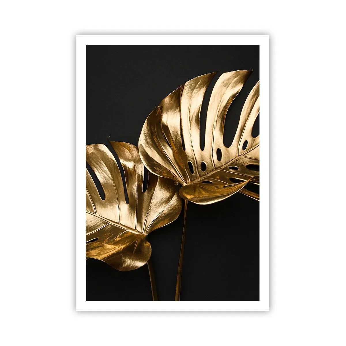 Poster - I tesori della natura - 70x100 cm