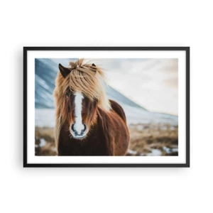 Poster in cornice nera - Cavallo islandese contro un paesaggio montano - 70x50cm - Senti la libertà? - Decorazione murale moderna per soggiorno e camera da letto ARTTOR
