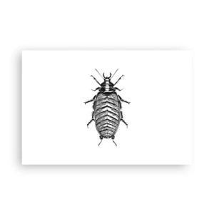 Poster - Che esemplare! - 91x61 cm