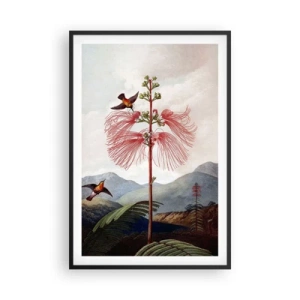 Poster in cornice nera - Nel paradiso tropicale - 61x91 cm
