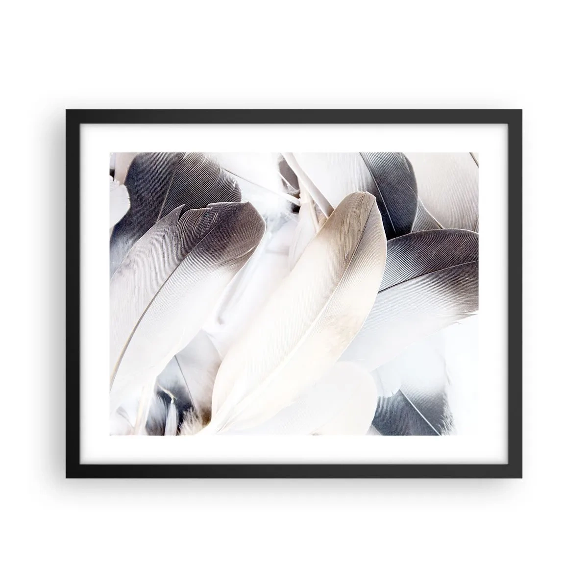 Poster in cornice nera - Quasi angeliche - 50x40 cm