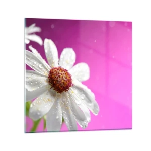 Quadro su vetro - Modesto nella sua bellezza - 70x70 cm
