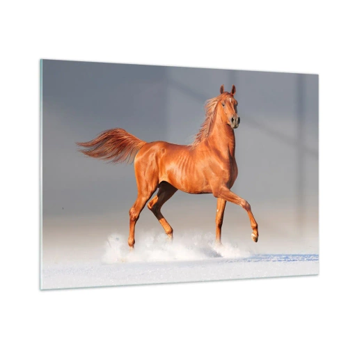 Quadro su vetro - Un cavallo al galoppo contro un cielo luminoso - 100x70cm - Grazia danzante - Decorazione murale moderna per soggiorno e camera da letto ARTTOR