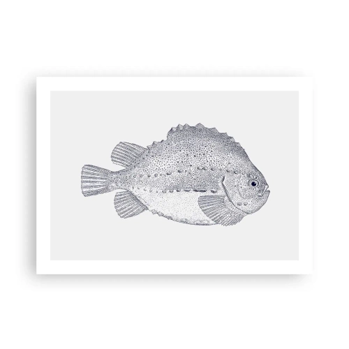 Poster - Nell'album del naturalista - 70x50 cm