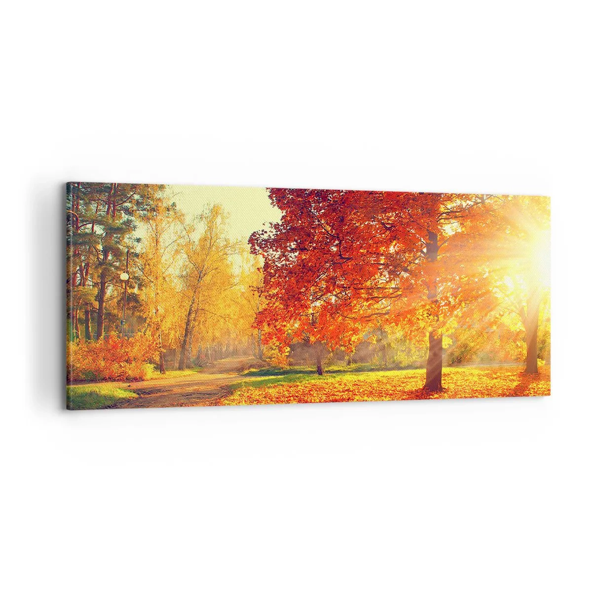 Quadro su tela - Stampe su Tela - Rosso è bello - 100x40 cm
