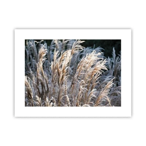 Poster - Vestite di brina - 40x30 cm