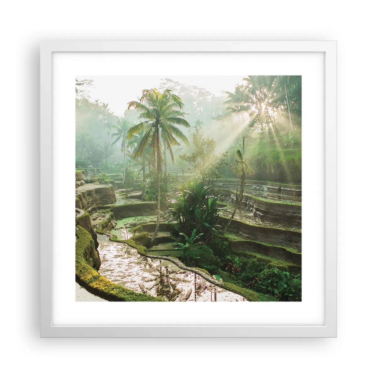 Poster in cornice bianca - Crescere al sole - 40x40 cm