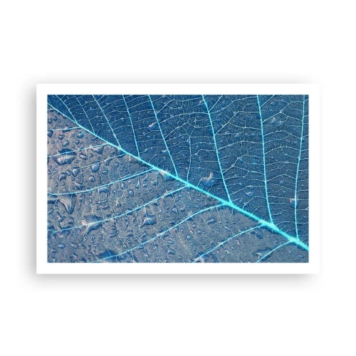 Poster - Vita nel blu - 91x61 cm