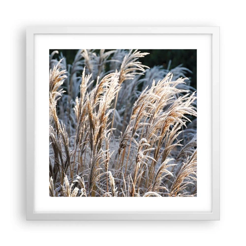 Poster in cornice bianca - Vestite di brina - 40x40 cm