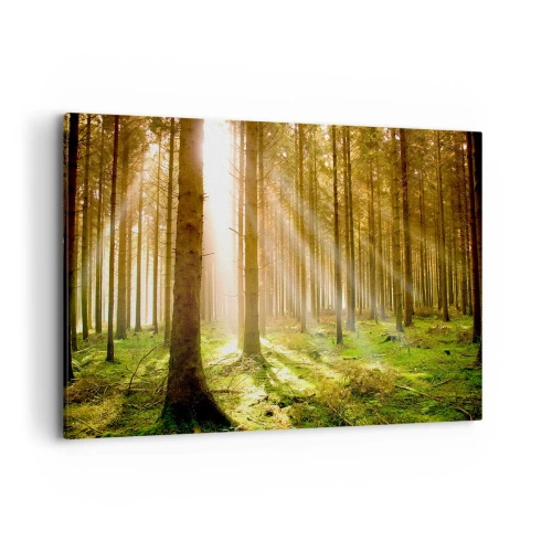Quadro su tela - Stampe su Tela - Foresta di conifere con raggi di sole che brillano attraverso gli alberi - 120x80cm - Adesso appaiono gli elfi - Decorazione murale moderna per soggiorno e camera da letto ARTTOR
